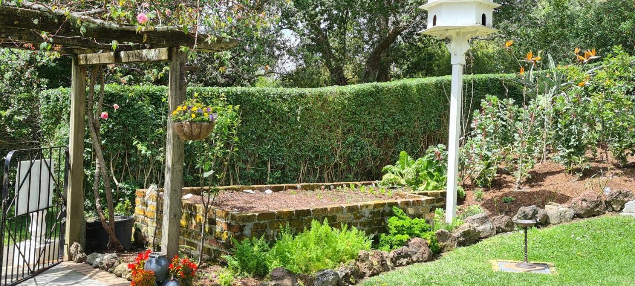 Dovecote House Bed & Breakfast Auckland Ngoại thất bức ảnh