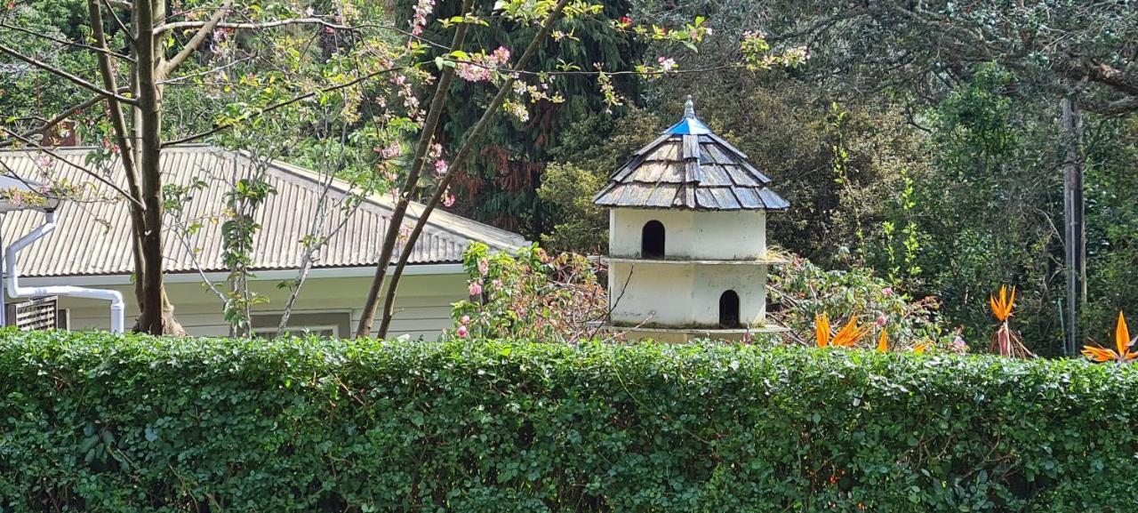 Dovecote House Bed & Breakfast Auckland Ngoại thất bức ảnh