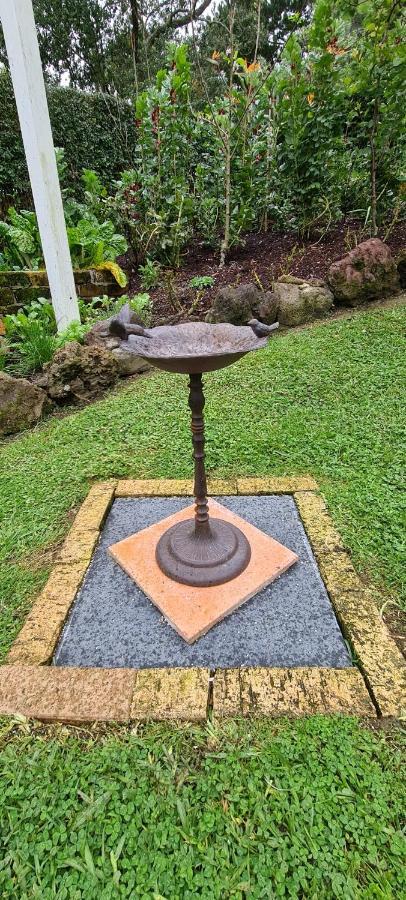 Dovecote House Bed & Breakfast Auckland Ngoại thất bức ảnh