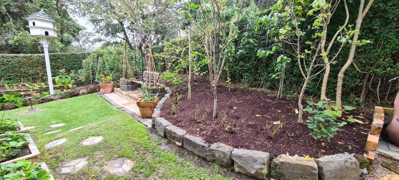 Dovecote House Bed & Breakfast Auckland Ngoại thất bức ảnh